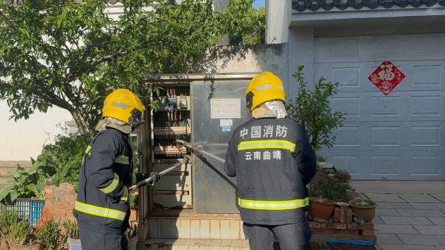 太調(diào)皮！一條菜花蛇鉆進(jìn)電表箱……:電表計量箱