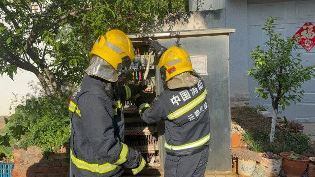 太調(diào)皮<strong></p>
<p>電表計(jì)量箱</strong>！一條菜花蛇鉆進(jìn)電表箱……:電表計(jì)量箱