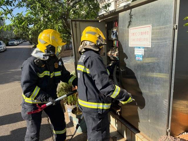 太調(diào)皮<strong></p>
<p>電表計(jì)量箱</strong>！一條菜花蛇鉆進(jìn)電表箱……:電表計(jì)量箱