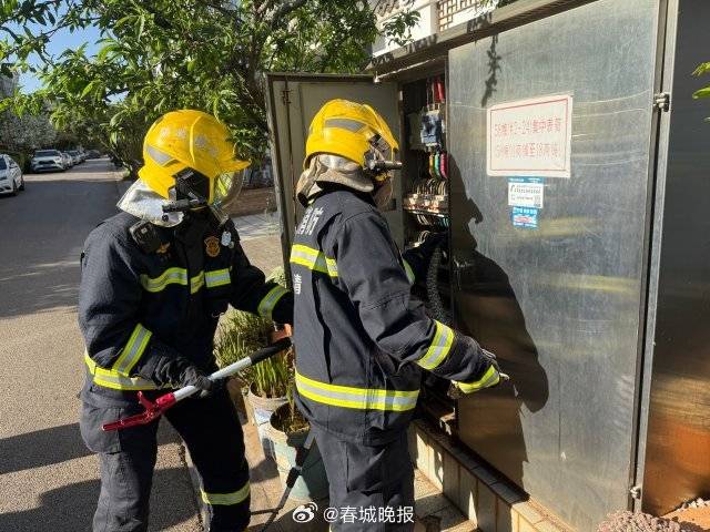 一條菜花蛇鉆進(jìn)電表箱:電表計(jì)量箱