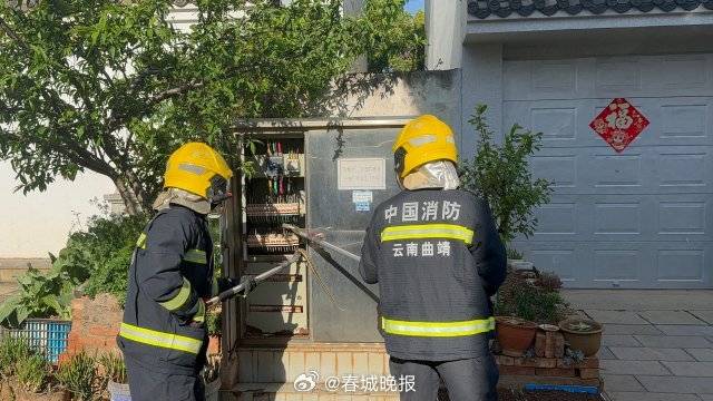 一條菜花蛇鉆進(jìn)電表箱:電表計(jì)量箱