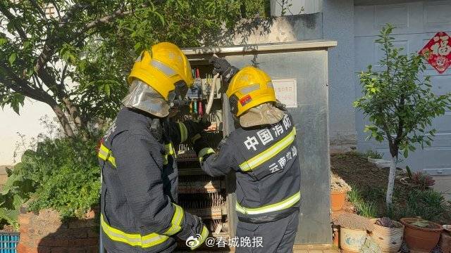 一條菜花蛇鉆進(jìn)電表箱:電表計(jì)量箱