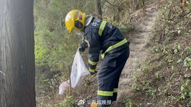 一條菜花蛇鉆進(jìn)電表箱:電表計(jì)量箱
